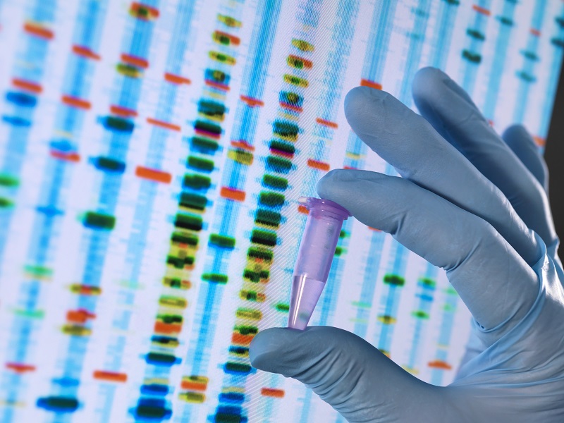 Teste genético DNA emagrecimento Maceió